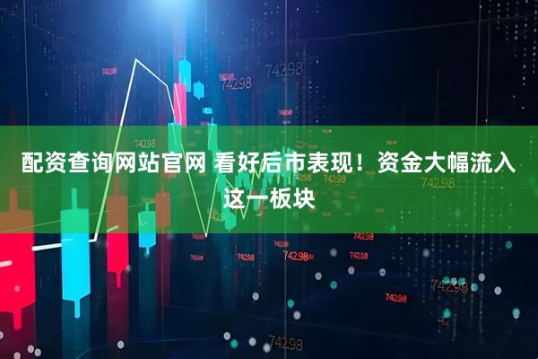 配资查询网站官网 看好后市表现！资金大幅流入这一板块